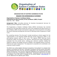 Unleashing the Blue Economy of the Caribbean (UBEC) Project - Consulting Services for Business Development for the Matching Grants Programme in Saint Lucia.